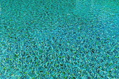 还有高手 《NBA 2K24》超越《三国杀》成为Steam差评榜第二